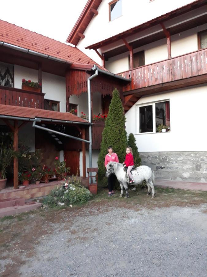 Molnár Vendeghaz Praid Exterior foto